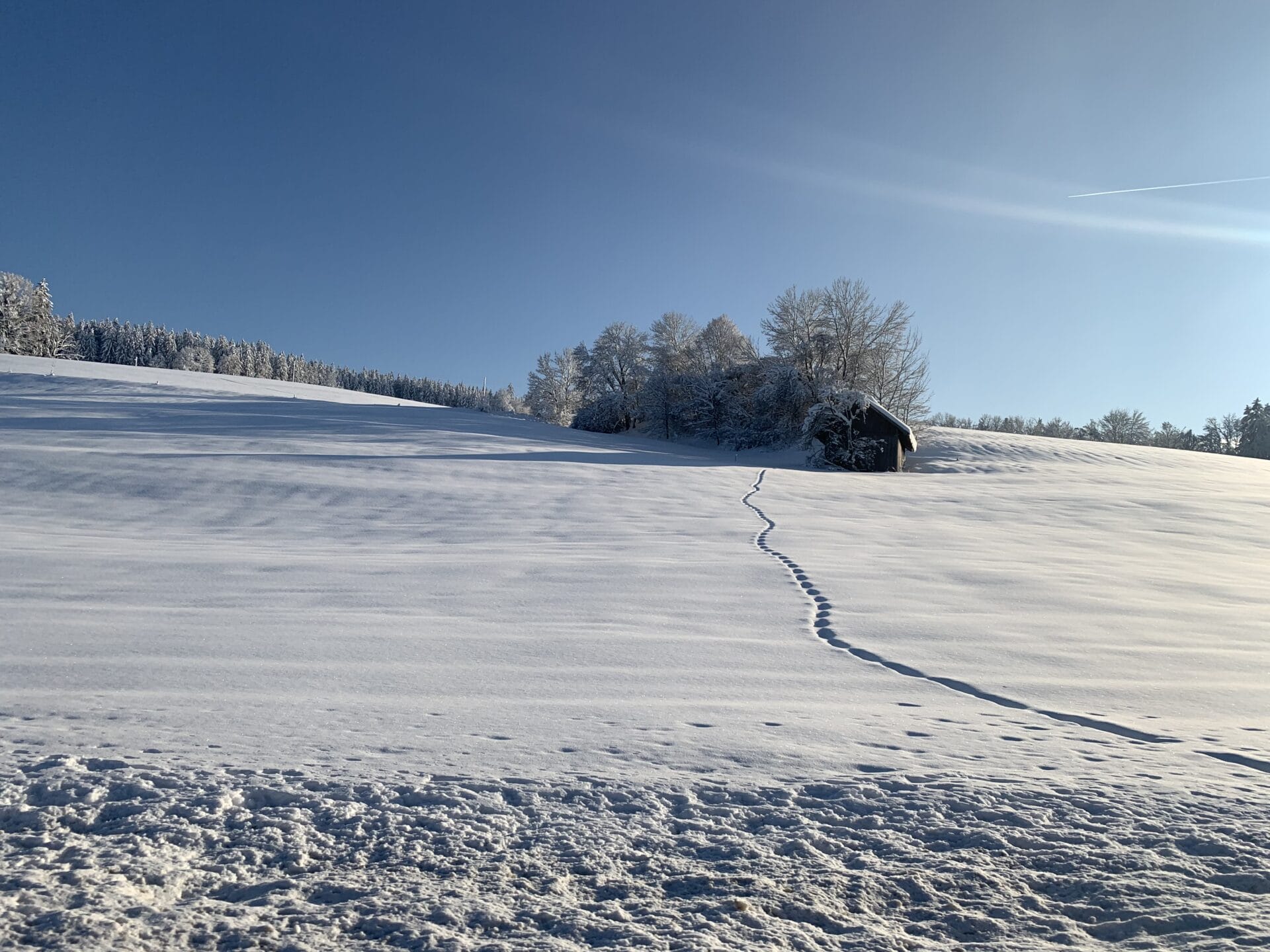 Spuren im frischen Schnee führen durch die weite Winterlandschaft des Allgäus. Das Hotel zur Rose ist der ideal Ausgangspunkt für ruhige Winterwanderungen mit Aussicht.